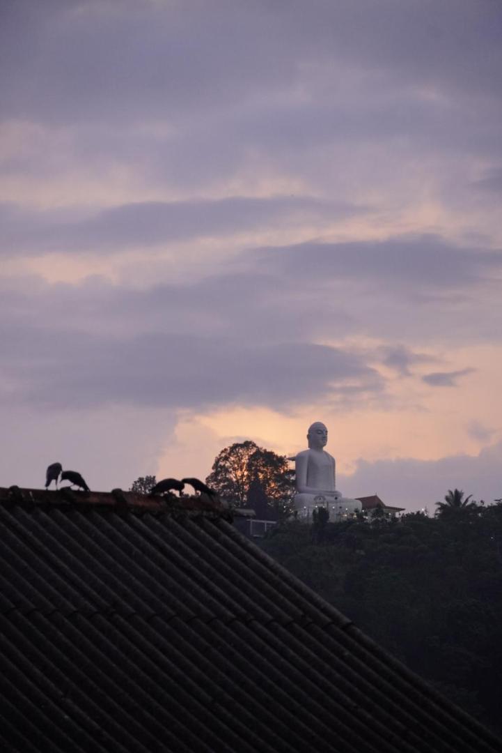 City View Hostel Kandy Exteriör bild